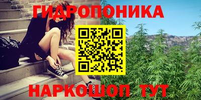 ECSTASY Пенза