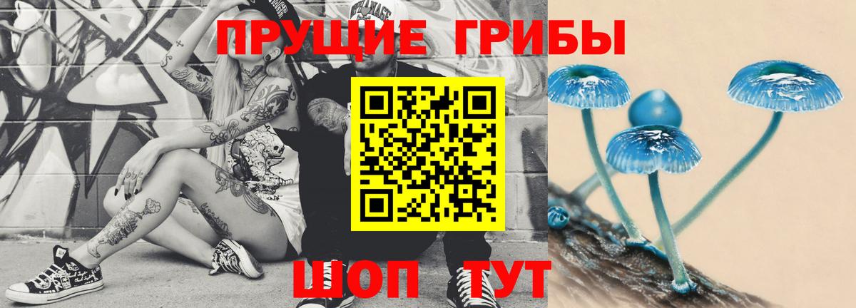 Псилоцибиновые грибы мицелий Сертолово
